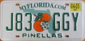 Nummernschilder / Kfz-Kennzeichen USA 2003 2000er Florida FL